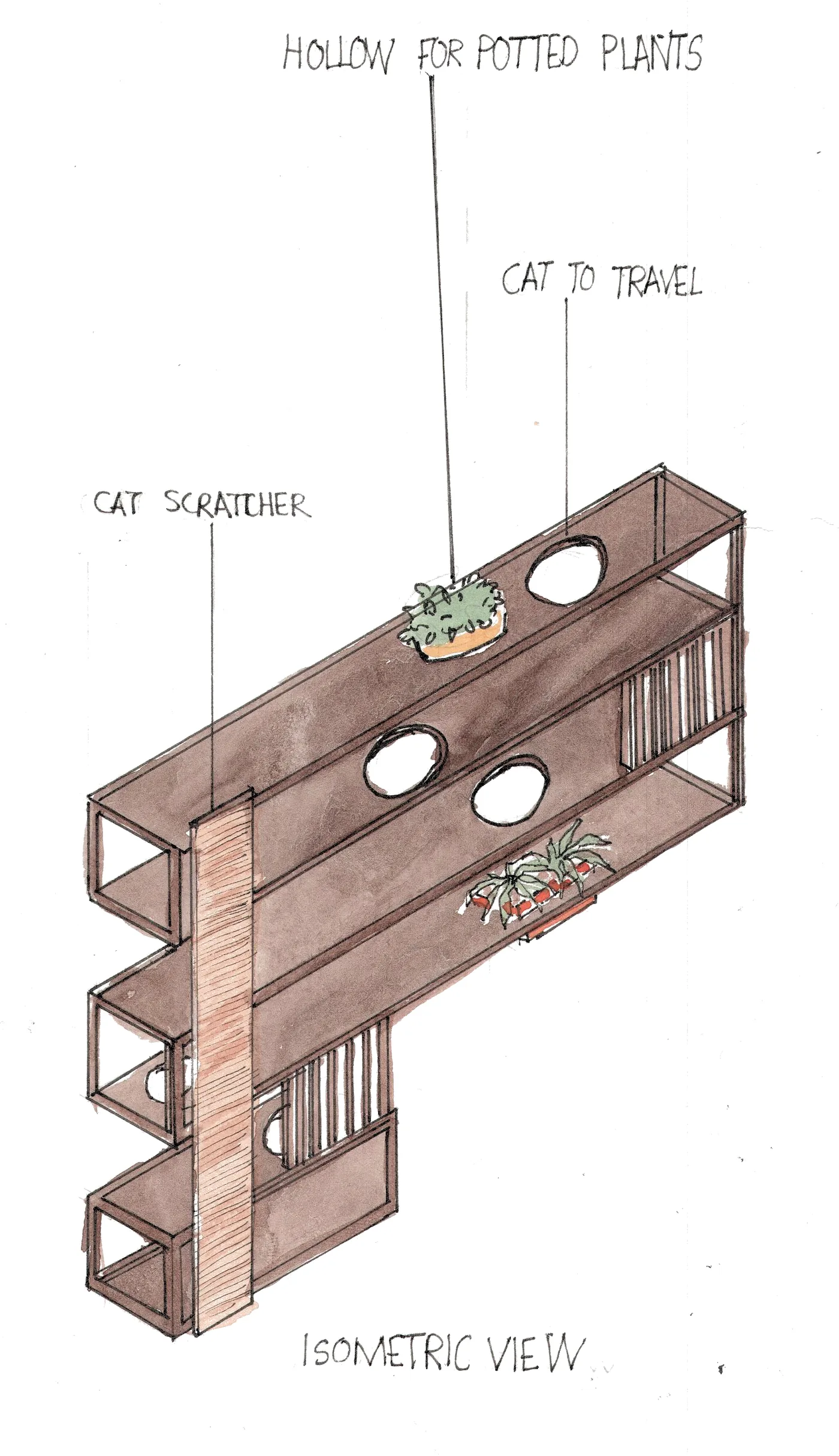 Pencil and watercolour isometric of a timber shelf with round openings for a cat and hollows for potted plants.